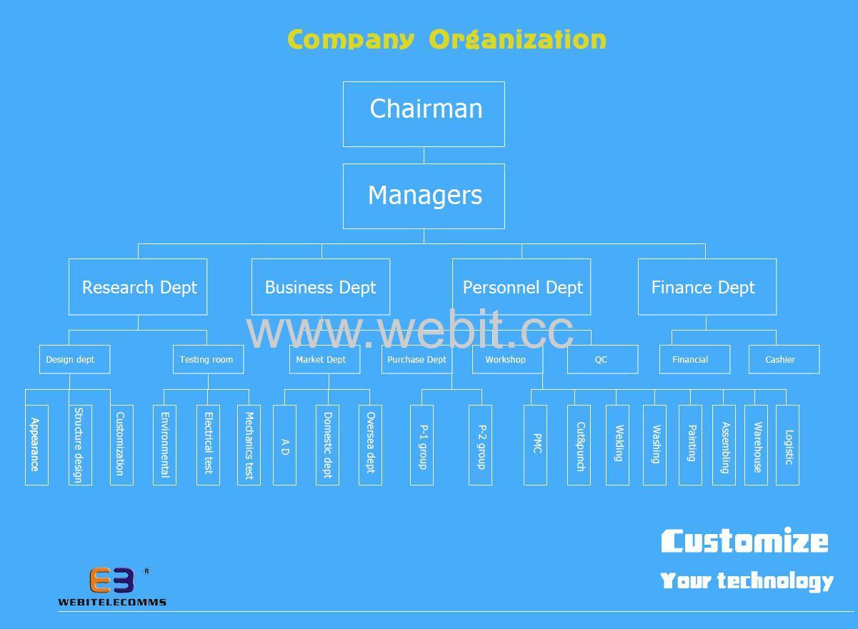 Company organization