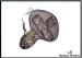 PE Foam Recurve Camo Bow Case With One Sturdy Carry Handle 42'' X 34'' X 5"