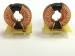 ferrite core/toroidal choke coil/fixed inductor/common mode choke