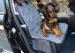 Polyester Single Front Pet Car Seat Covers Leopard Adjustable Bucket