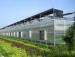 Eco - friendly Bayer Greenhouse Polycarbonate Sheets 4-10mm Thickness Weather Ability