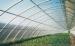 4mm 6mm 8mm Clear Greenhouse Polycarbonate Sheets For Construction Roofing