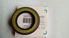 High pressure oil seal 35-55-11