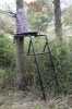 Outdoor ladder tree stand