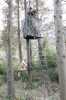 Tree Stand Spur Blind