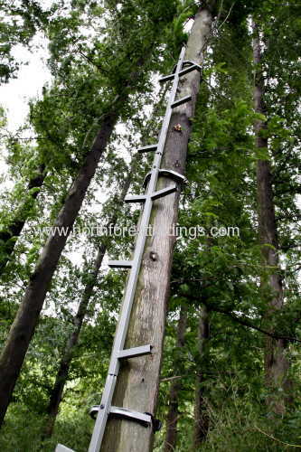 One Man Climbing ladder stand