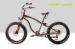 28km / h 350 Watt Electric Beach Bike 36V 10Ah Lithium Battery Pedals Assisted