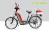 36V 350W Pedal Assist Electric Bike 24 Inch Wheel V Brake Rear Brushless Motor