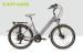Citizen E Bike Motor 250W Lady Eco Electric Bike Europe Electricbike Disc Brake