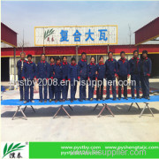 Sheng Tai Environmental Building Material Board Industry Co.,Ltd