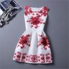 America fashion summer dress