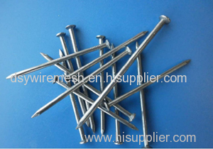 Common Polishing Iron Nail