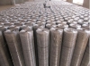 Galvanized welded wire mesh