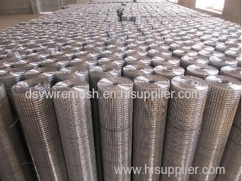 Galvanized welded wire mesh