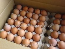 Fresh brown shell chicken table eggs