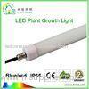 Hydroponic Led Grow Light 3ft LED Tube T8 with Rotatable End Cap