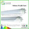 AC 85 277 V T8 LED Tube 2 Feet Super Bright 120 lm / w For Store Lighting
