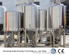 50L micro brewing equipment
