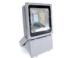 70W Commercial LED Flood Lights Outside For Landscape / Amusement Place