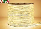 220 Volt Commercial High Brightness LED Strip Lighting 2 Year Warranty