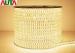 220 Volt Commercial High Brightness LED Strip Lighting 2 Year Warranty