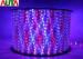 12V / 24V Custom Multi Color LED Rope Lights Indoor 3 Cables Sanan Chip