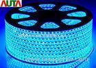 240V Indoor Commercial LED Rope Lights RGB Low Heat 100M / Roll Package