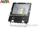 High CRI Residential 120 Watt LED Flood Light Meanwell Driver