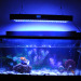 240W programmable led aquarium light