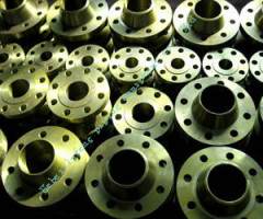 Weld Neck Flange in china