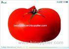 Red Apple Shape EVA Foam Kneeling Pad Heat Transfer Printing