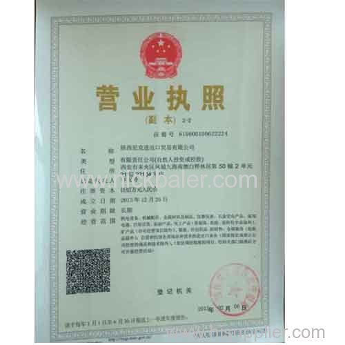 License Certificate