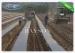 Biodegradable UV stabilized Garden Weed Control Fabric Water / Air Suppressing