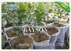 Size 12 cm x14 cm White Color Plant Non Woven Cultivating Bag For Garden
