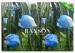 Anti Insect Pest Non Woven Fruit Protection Netting Blue / White Color