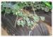 100% Virgin Polypropylene Super Wide Non Woven Landscape Fabric Hight Strength