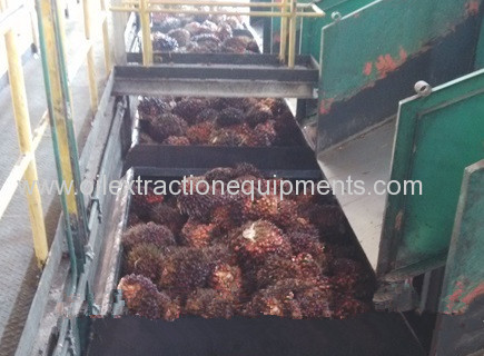 Palm oil machine / palm oil process machine