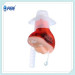 Newest arrival item super premium mini hearing aid headsets ear hearing machine for deaf S-10B