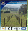 Competitive Price of Farm Guard Field Fence for Livestock Metal Fencing