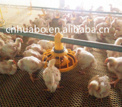 Huabo Broiler Pan Feeding System