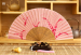 Sales Promotion Painted Wooden Hand Fan Wholesale