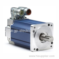 High Performance Rare Earth Magnet Brushed DC Motor