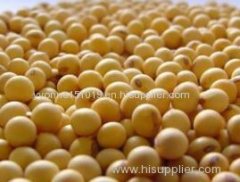 soybean soya bean beans