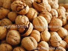 walnut dried nuts dried fruits