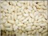 blanched peanut peanut kernels