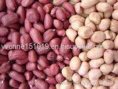 peanut kernels in skin