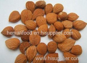 Sales good quality apricot kernel