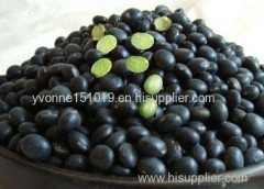 black bean with green kernels