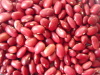 red kidney bean beans