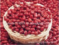 red kidney bean beans